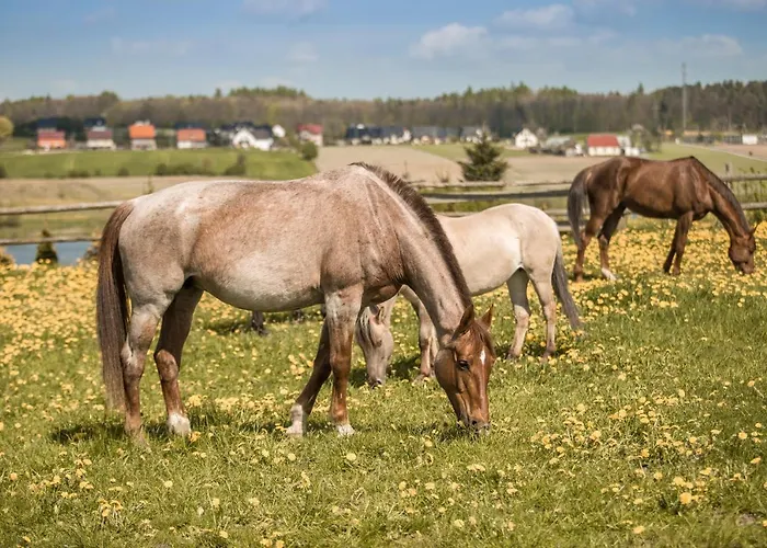 Urychertow Отель типа 